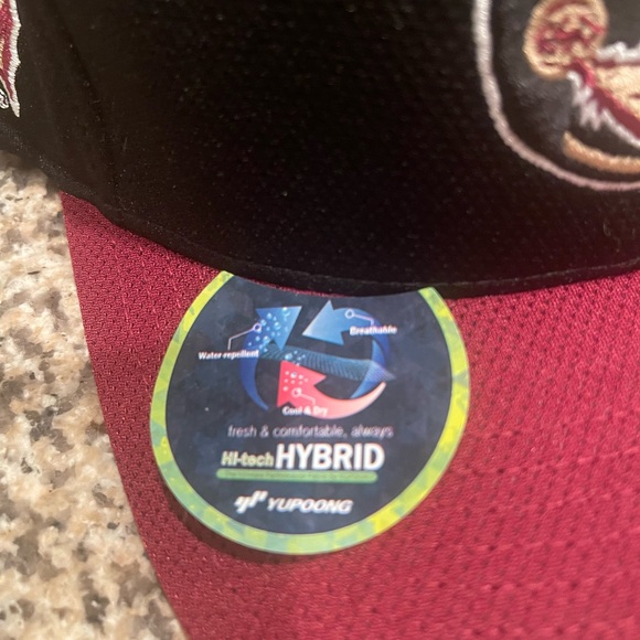 Men's Florida State Seminoles FSU Hat medium/large - Picture 2 of 6